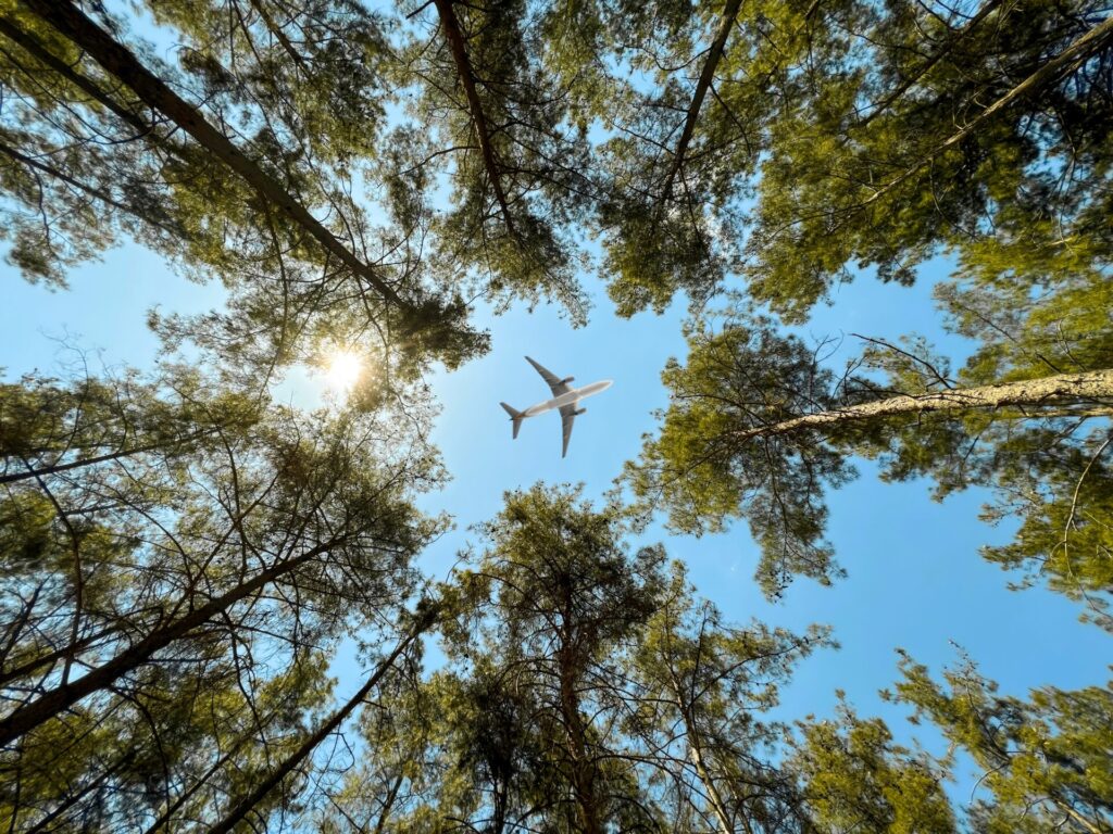 koru green carbon zero events. sustainable events and travel incentives