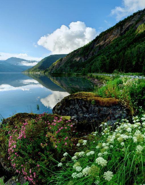 sustainable travel incentives