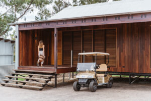 Wilson Archer Photographer Mt Mulligan Lodge North Queensland guest electric buggy