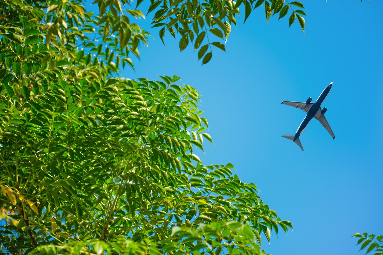 Sustainable travel incentives shown by airplane above forest