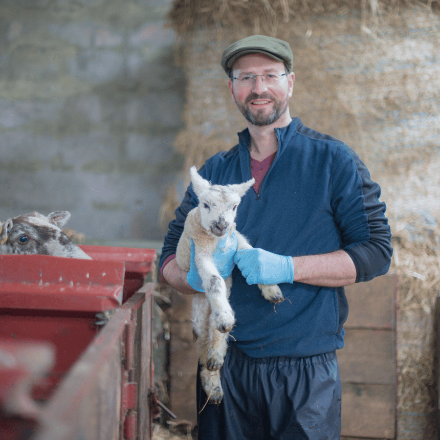 b2b incentive program agriculture animal health